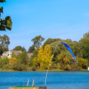 12' Dori Pole JR (pole only)