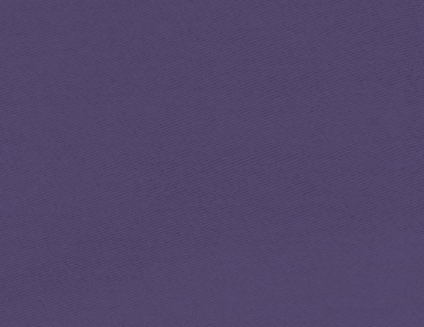 8' and 14' Purple Pennants (outlet)