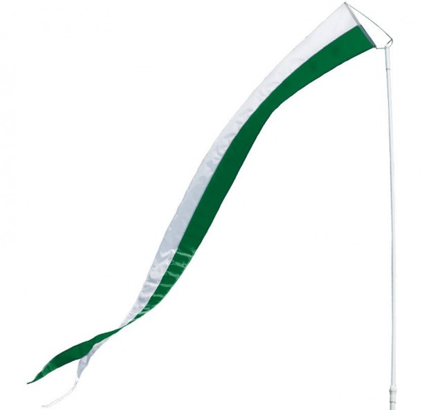 14′ 2Color Collegiate Pennant Flags Dori Pole