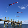 19' Patriotic Bird Deterrent Kit with 14' Pennant - Image 5