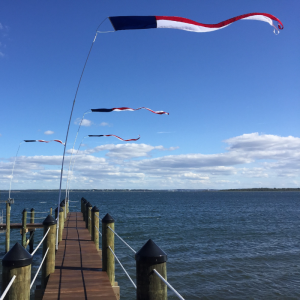 19' Patriotic Bird Deterrent Kit with 14' Pennant