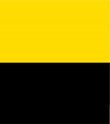 8' FM Yellow and Black Dori Pole Pennant (Outlet)