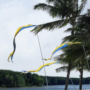 19' Bird Deterrent Kit with Two-Color 14' Pennant
