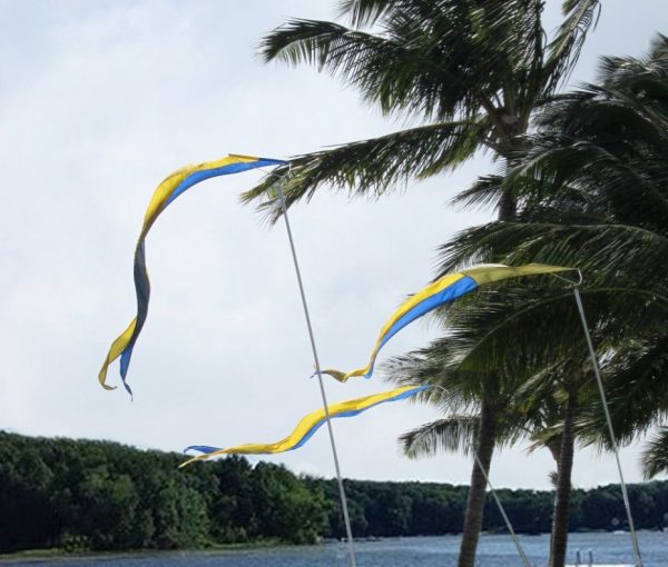 19' Bird Deterrent Kit with Two-Color 14' Pennant