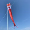 19' Complete Kits with 14' Specialty Pennant - Image 2