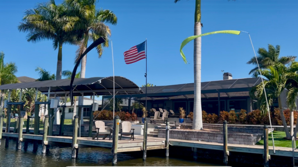 Why Bird Deterrence Matters More Than You Think